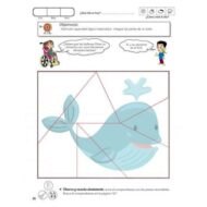 Plan General Pensamiento Matemático 4 años - Imagen 4